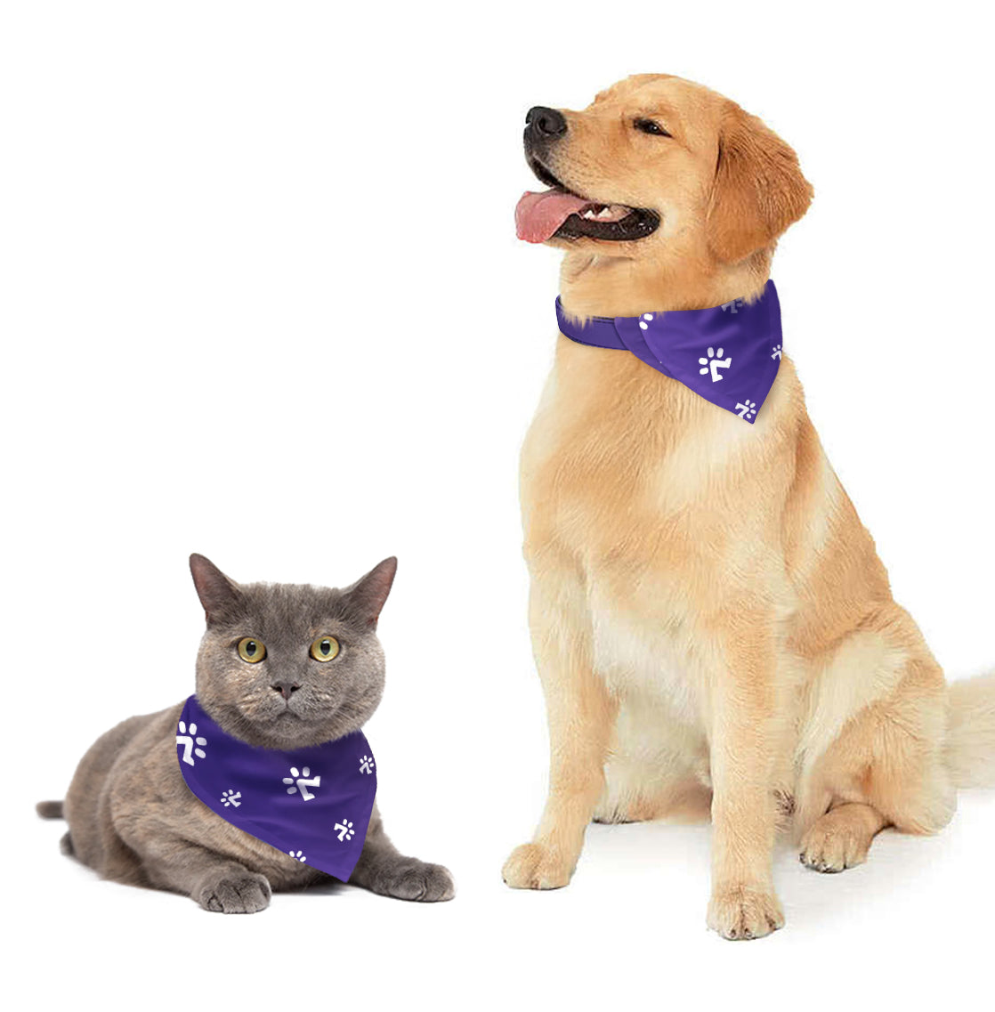 Skarelė su letenėlių raštu